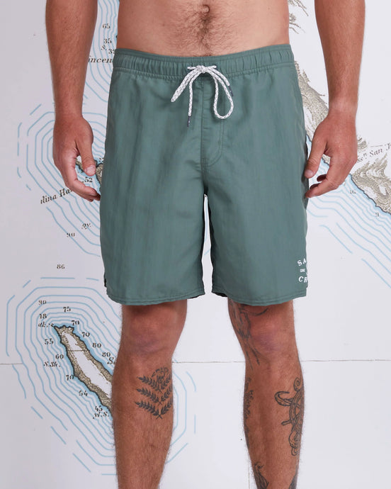 Salty Crew Quiver Elastic Boardshorts